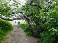/album/priroda-a-krajinky/p1000127-jpg/