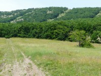 /album/priroda-a-krajinky/p1090425-jpg/